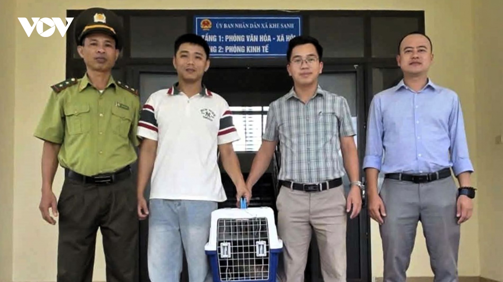 Cứu hộ 1 chú tê tê Java quý hiếm bị kiệt sức ở Khe Sanh